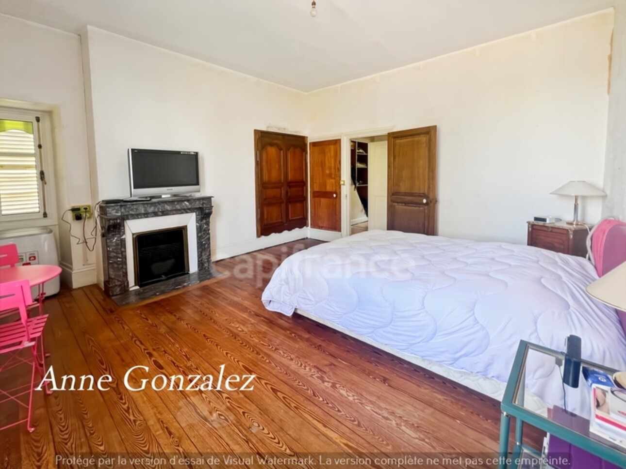 Photos 8 - Prestige - VITRY AUX LOGES, à vendre superbe Propriété du XIXème de plus de 300 m2, maison d'amis indépendante