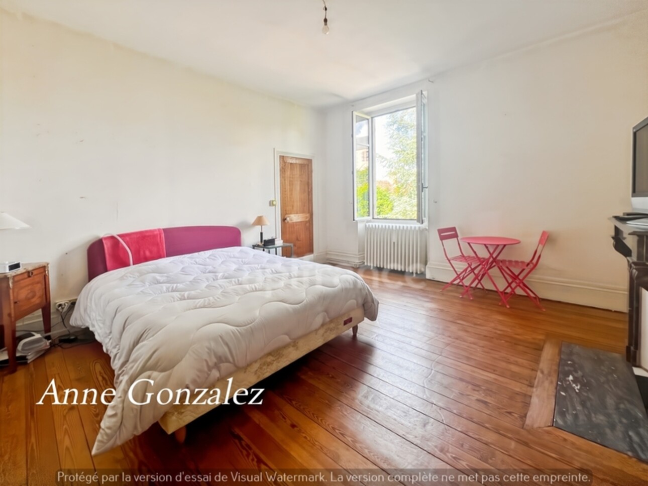 Photos 9 - Prestige - VITRY AUX LOGES, à vendre superbe Propriété du XIXème de plus de 300 m2, maison d'amis indépendante