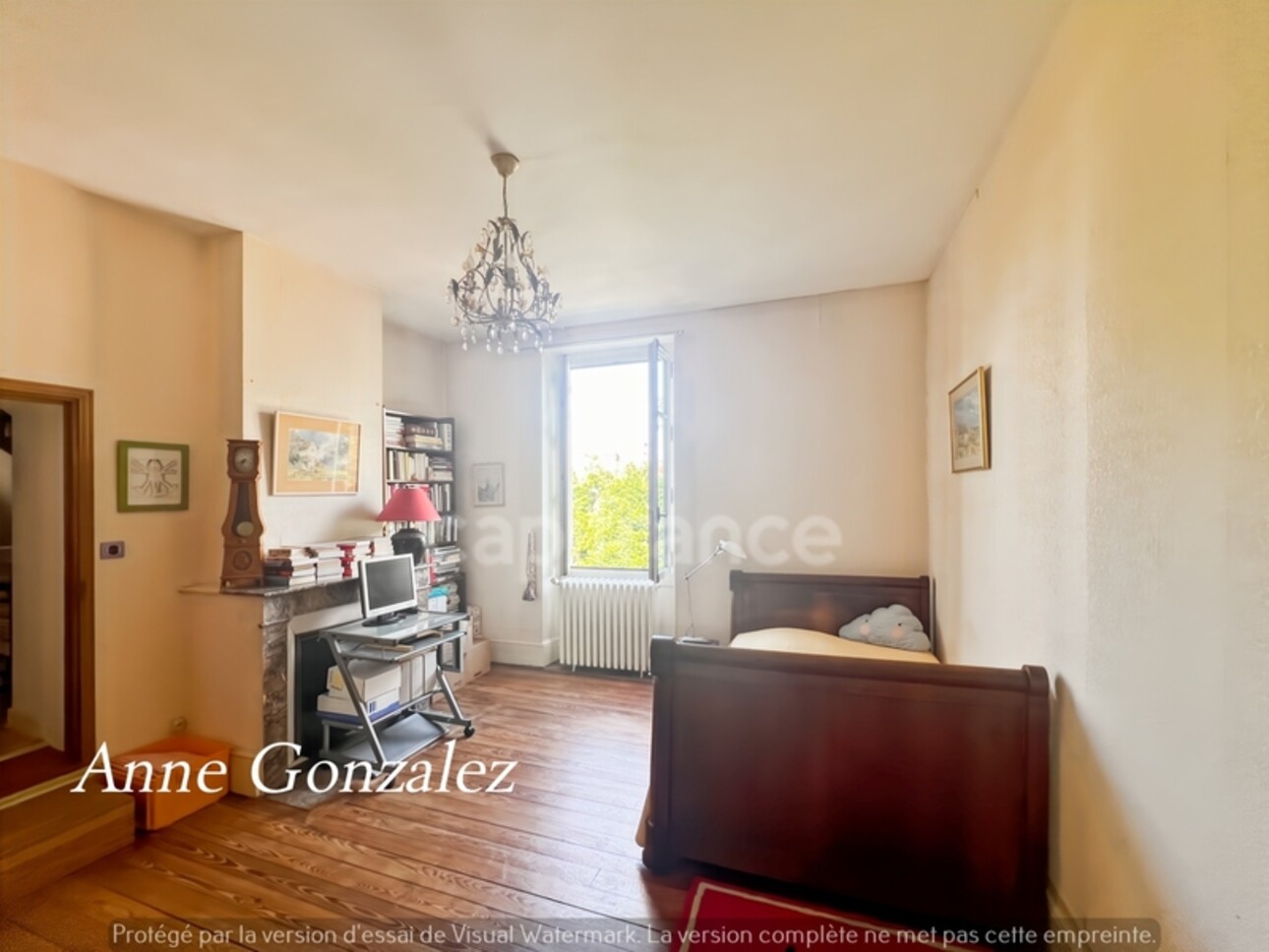 Photos 10 - Prestige - VITRY AUX LOGES, à vendre superbe Propriété du XIXème de plus de 300 m2, maison d'amis indépendante