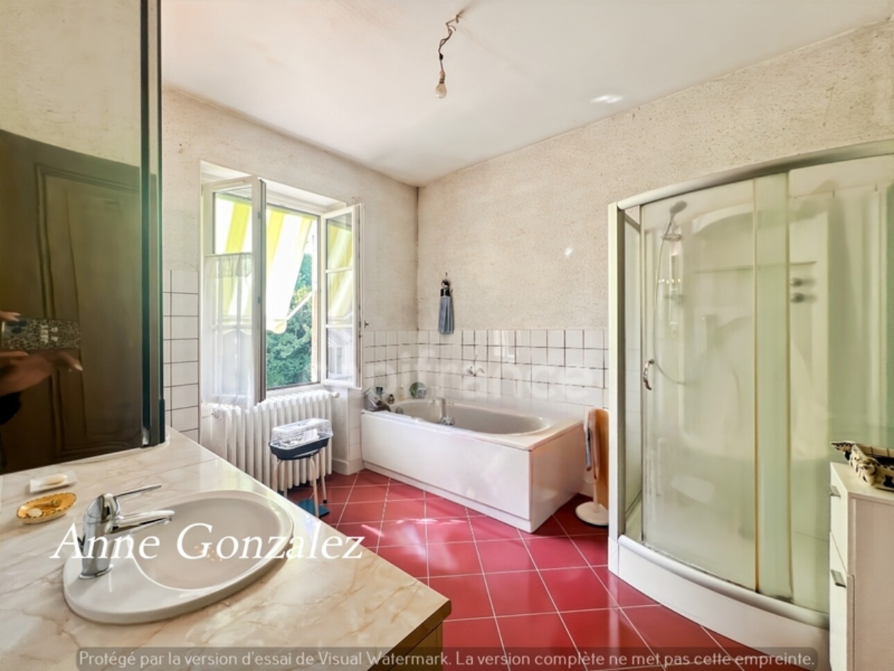 Photos 11 - Prestige - VITRY AUX LOGES, à vendre superbe Propriété du XIXème de plus de 300 m2, maison d'amis indépendante