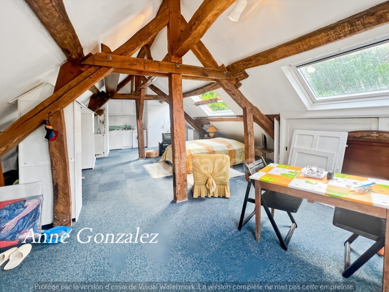 Photos 13 - Prestige - VITRY AUX LOGES, à vendre superbe Propriété du XIXème de plus de 300 m2, maison d'amis indépendante