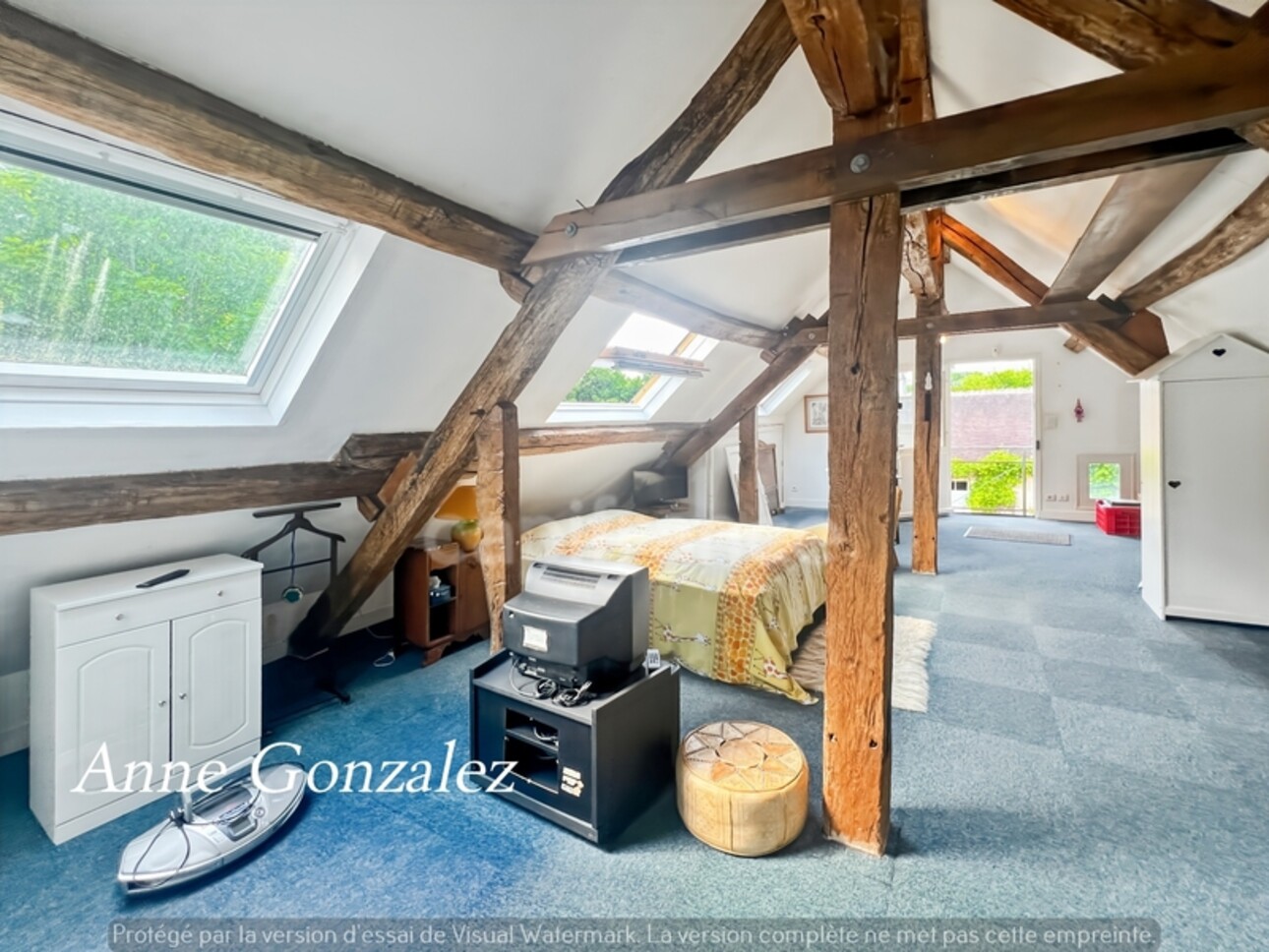 Photos 14 - Prestige - VITRY AUX LOGES, à vendre superbe Propriété du XIXème de plus de 300 m2, maison d'amis indépendante