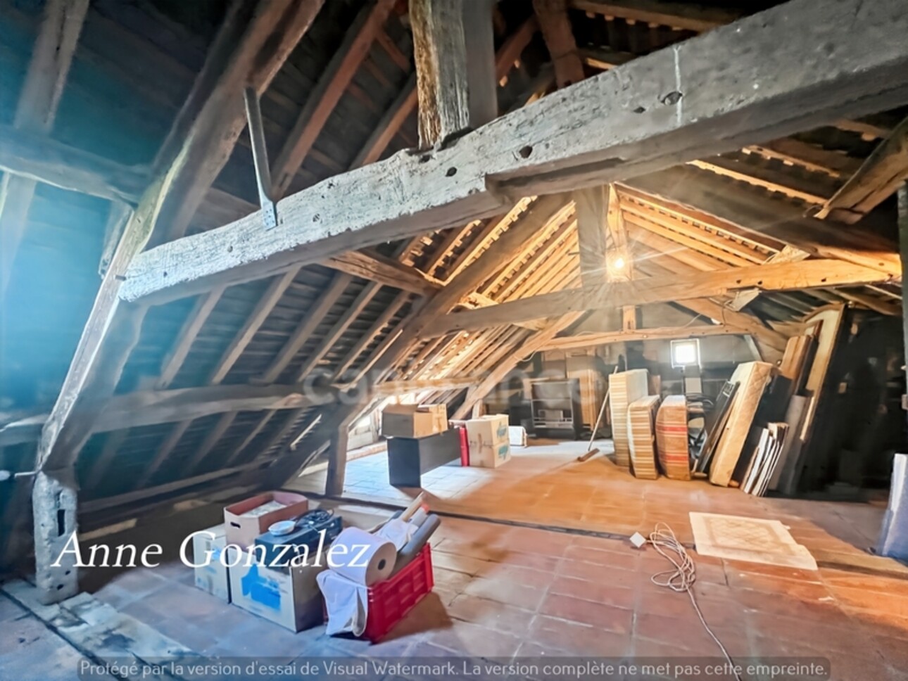 Photos 16 - Prestige - VITRY AUX LOGES, à vendre superbe Propriété du XIXème de plus de 300 m2, maison d'amis indépendante