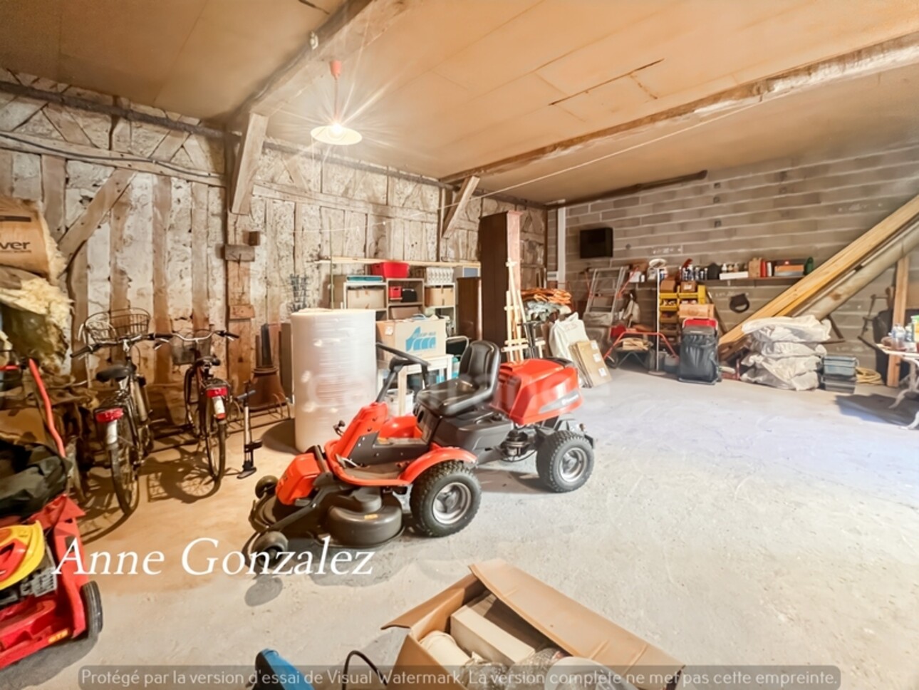 Photos 17 - Prestige - VITRY AUX LOGES, à vendre superbe Propriété du XIXème de plus de 300 m2, maison d'amis indépendante