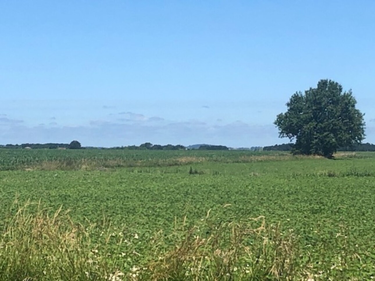 Photos 4 - Touristique - Dpt Gers (32), à vendre PLAISANCE et RISCLE proche, authentique PROPRIETE RURALE, ancienne ferme,  sur 3ha bio  AVEC geothermie, ancien chais