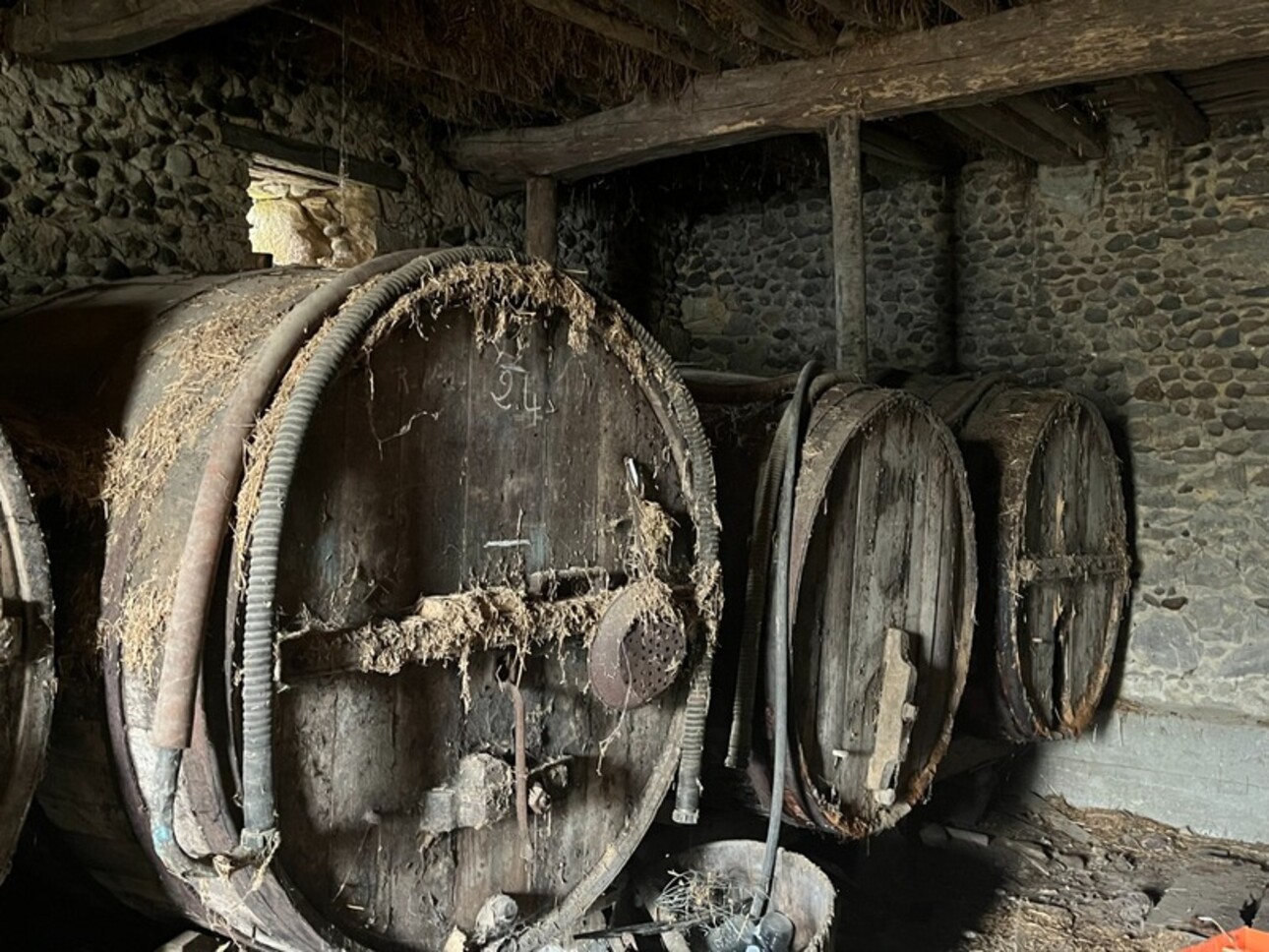 Photos 9 - Touristique - Dpt Gers (32), à vendre PLAISANCE et RISCLE proche, authentique PROPRIETE RURALE, ancienne ferme,  sur 3ha bio  AVEC geothermie, ancien chais