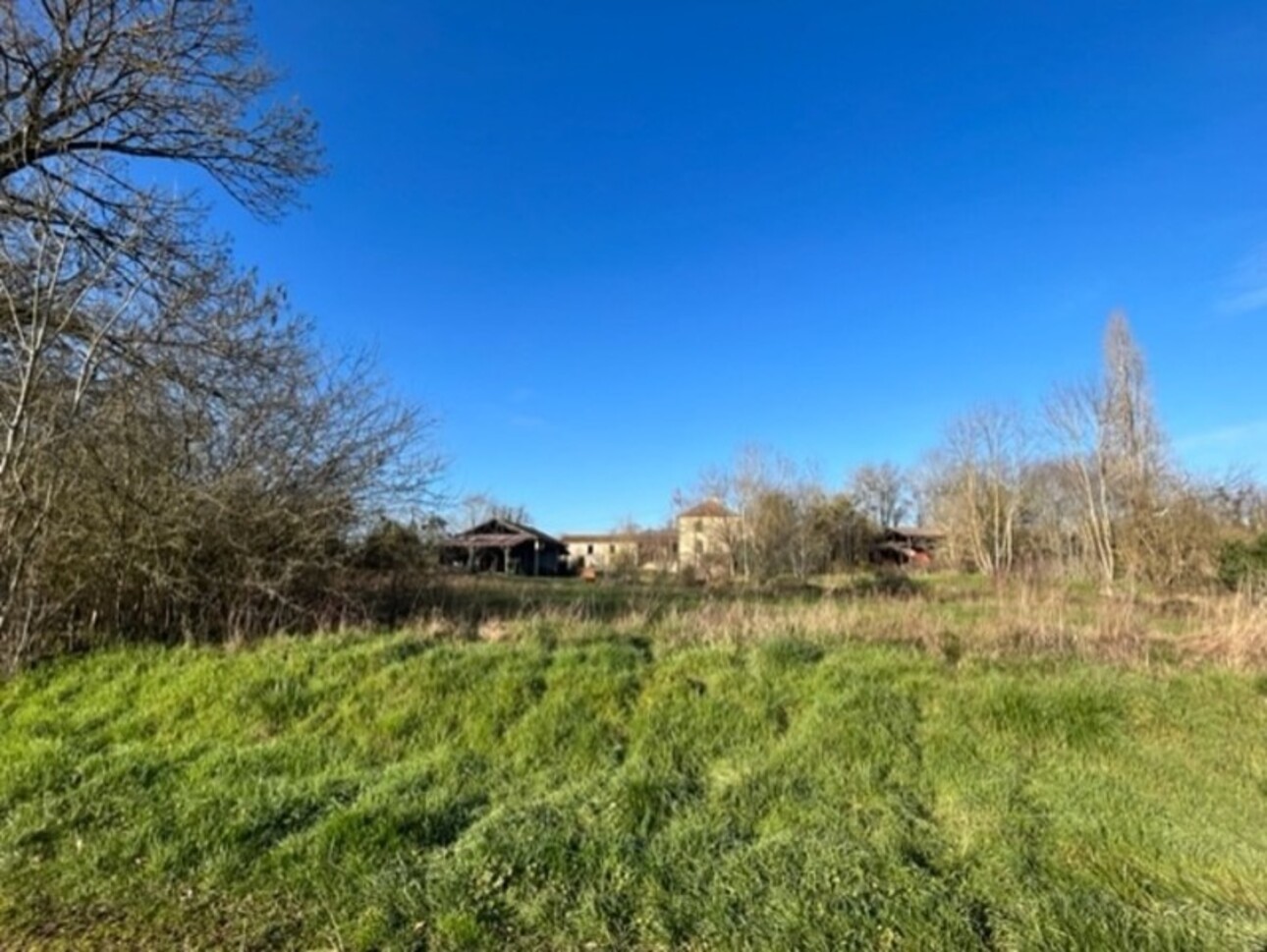 Photos 22 - Touristique - Dpt Gers (32), à vendre PLAISANCE et RISCLE proche, authentique PROPRIETE RURALE, ancienne ferme,  sur 3ha bio  AVEC geothermie, ancien chais
