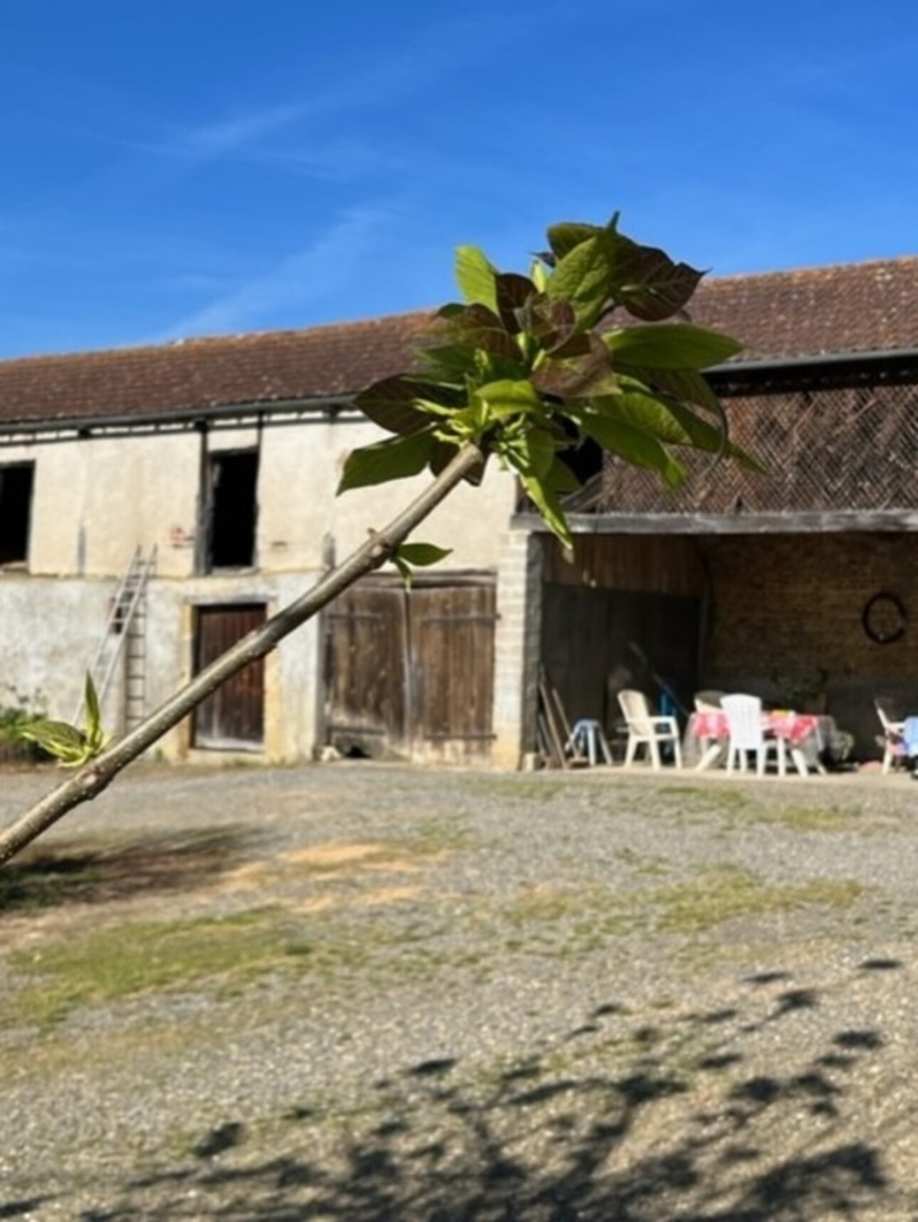 Photos 27 - Touristique - Dpt Gers (32), à vendre PLAISANCE et RISCLE proche, authentique PROPRIETE RURALE, ancienne ferme,  sur 3ha bio  AVEC geothermie, ancien chais