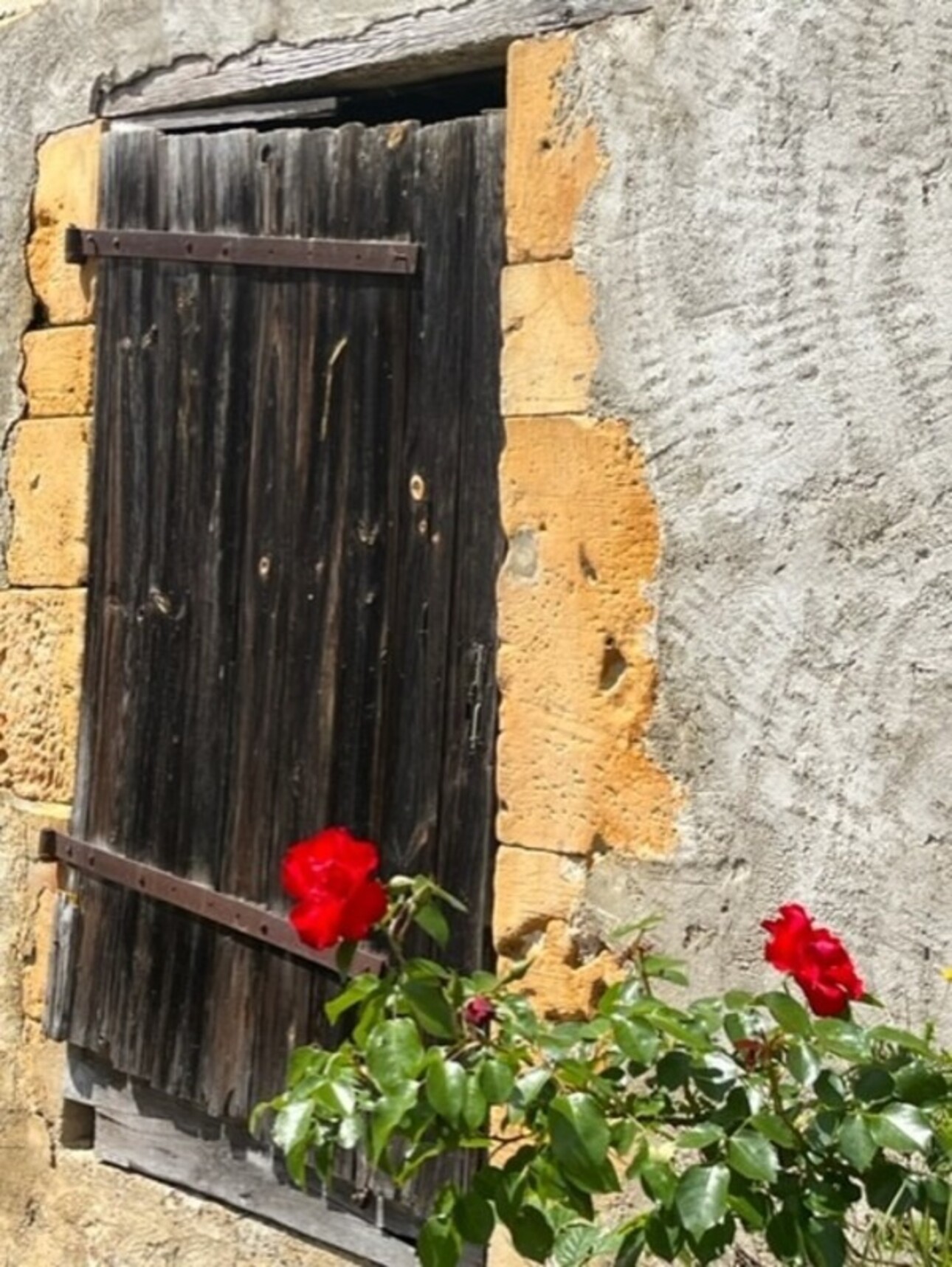 Photos 29 - Touristique - Dpt Gers (32), à vendre PLAISANCE et RISCLE proche, authentique PROPRIETE RURALE, ancienne ferme,  sur 3ha bio  AVEC geothermie, ancien chais