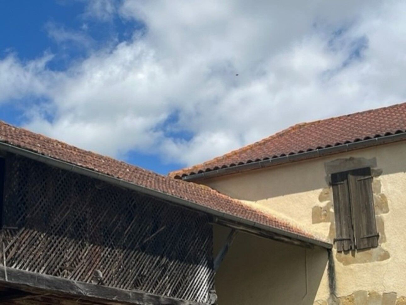 Photos 30 - Touristique - Dpt Gers (32), à vendre PLAISANCE et RISCLE proche, authentique PROPRIETE RURALE, ancienne ferme,  sur 3ha bio  AVEC geothermie, ancien chais