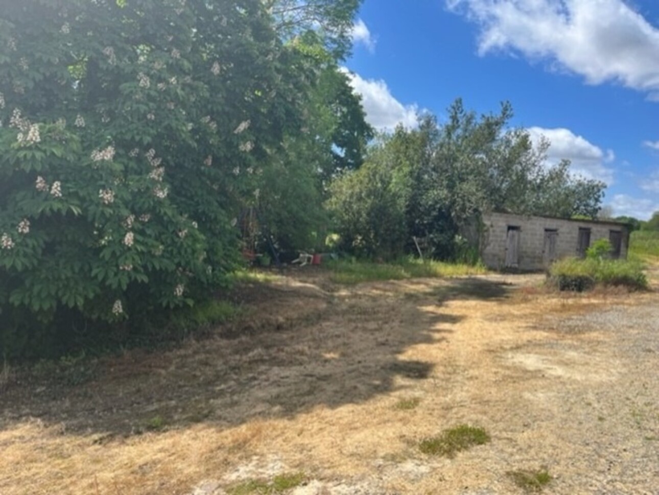 Photos 32 - Touristique - Dpt Gers (32), à vendre PLAISANCE et RISCLE proche, authentique PROPRIETE RURALE, ancienne ferme,  sur 3ha bio  AVEC geothermie, ancien chais