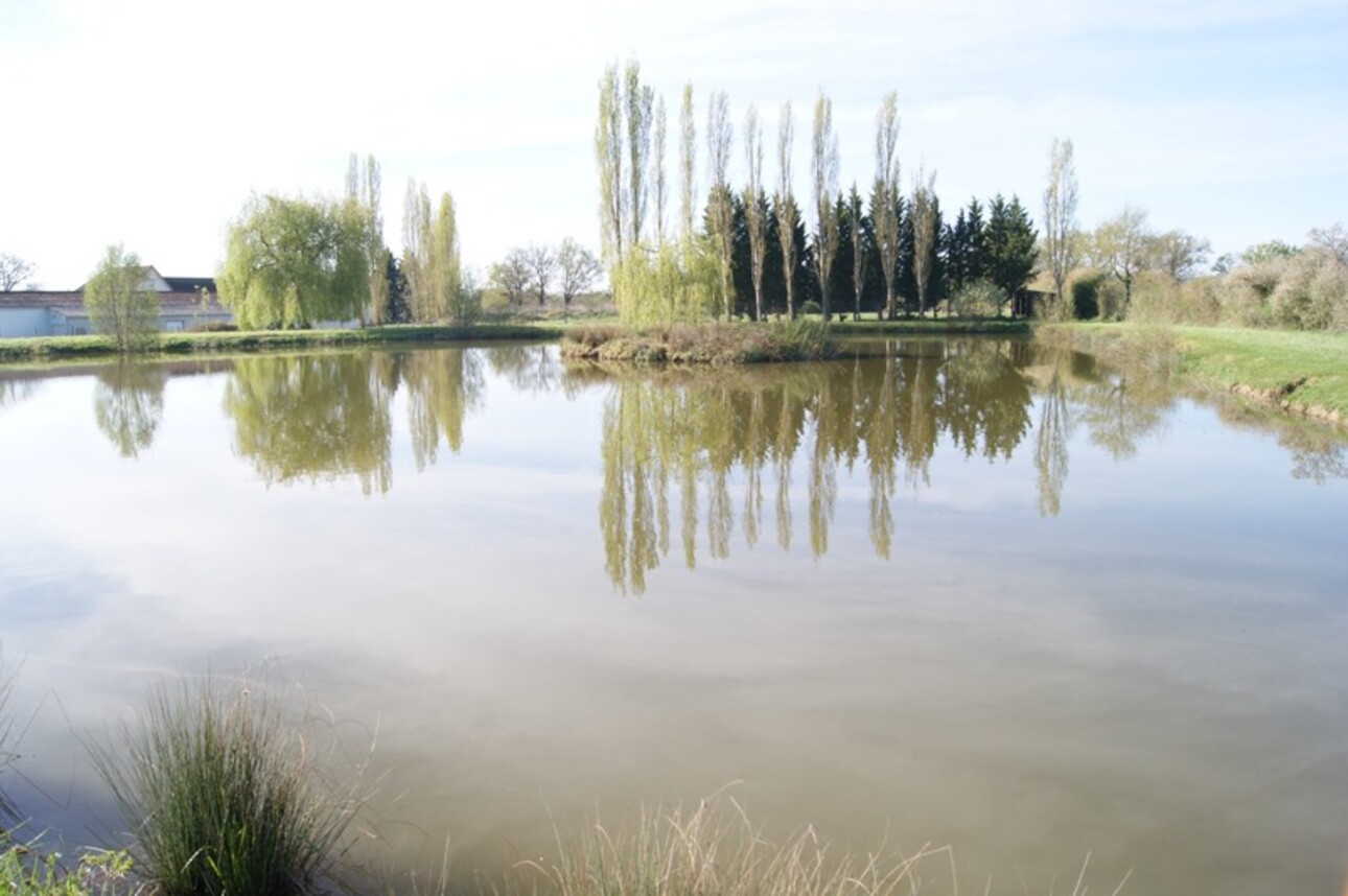 Photos 1 - Foncière - Etang de 4300 m2  à vendre  DOMERAT (03) sur terrain de 18627 m2