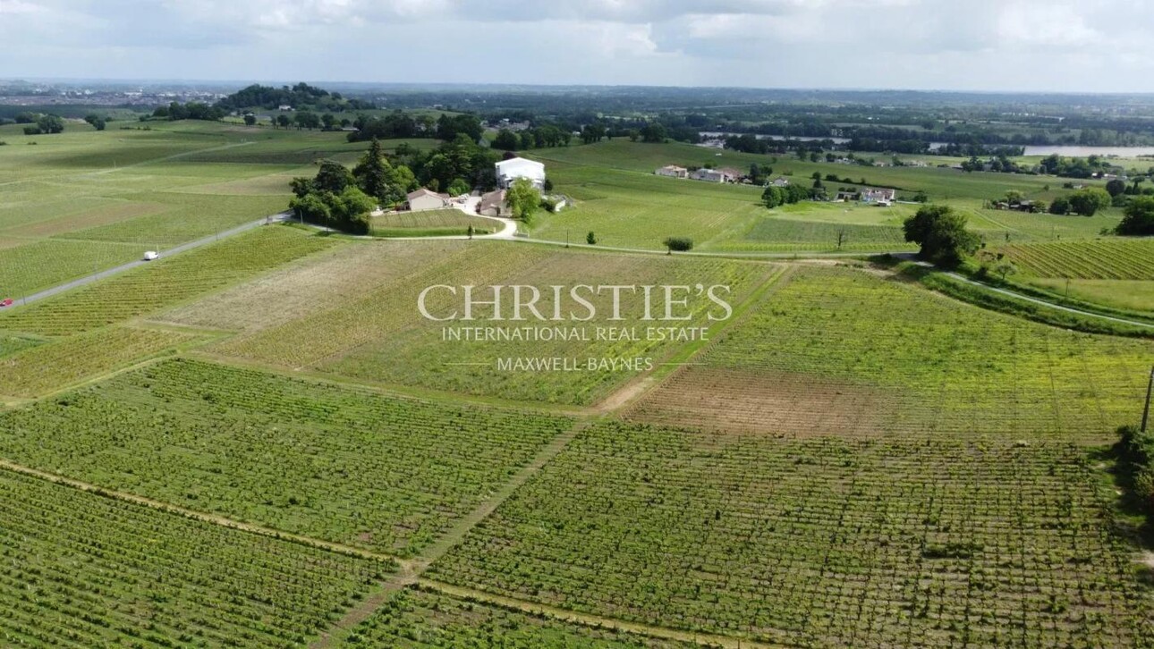 Photos 1 - Viticole - A vendre Vignoble de caractère de 15 ha - 2 AOC - en Libournais