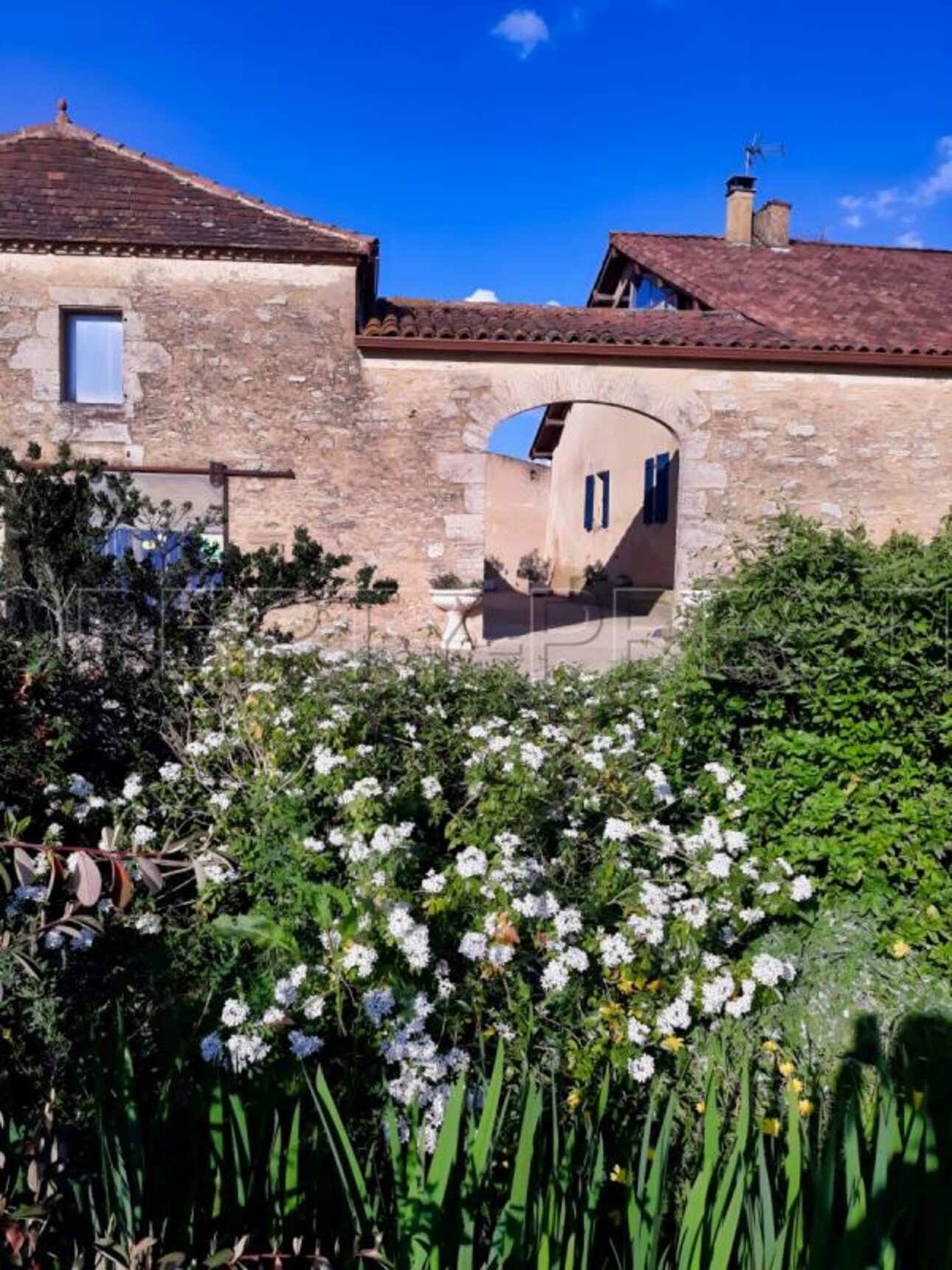 Photos 8 - Prestige - GERS PROPRIETE XVIIéme 43 HA ETANGS SOURCES