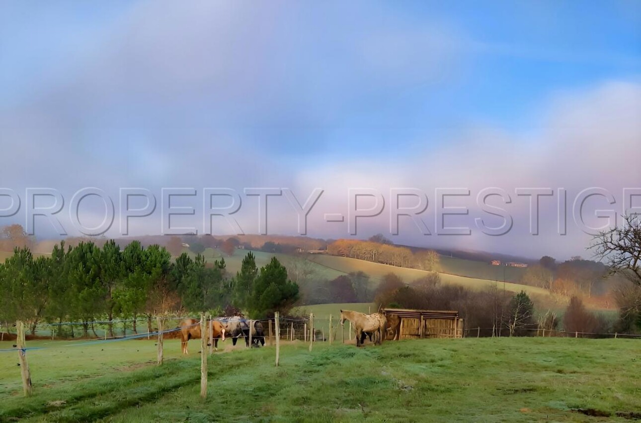 Photos 1 - Prestige - GERS PROPRIETE XVIIéme 43 HA ETANGS SOURCES