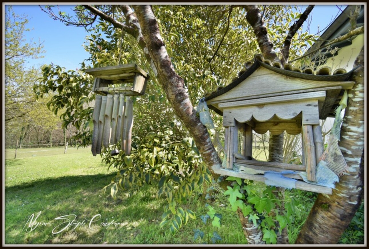 Photos 23 - Équestre - Dpt Landes (40), à vendre CAPBRETON Propriété de charme au calme