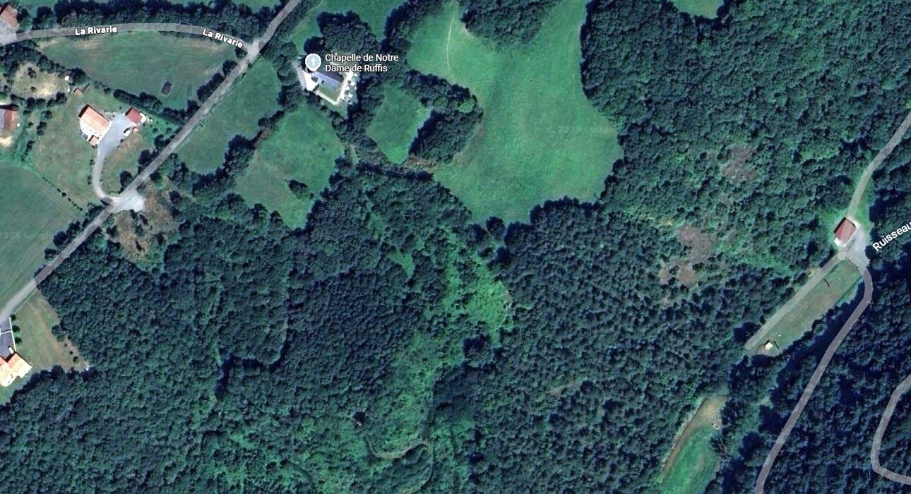 Photos 2 - Forestière - Terrain