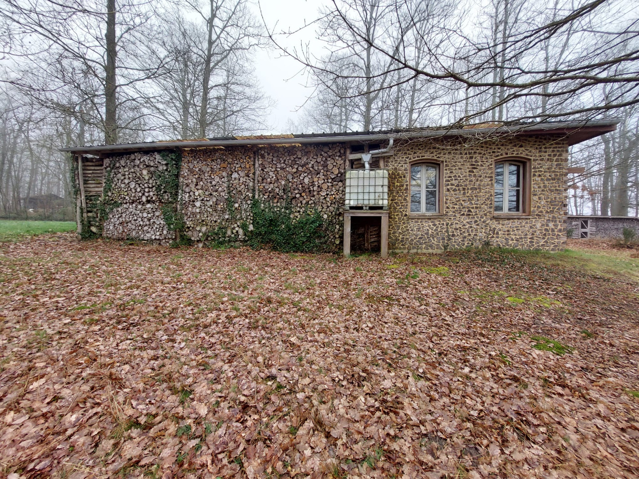 Photos 7 - Forestière - Propriété forestière et bâti de 20 ha aux portes de Paris