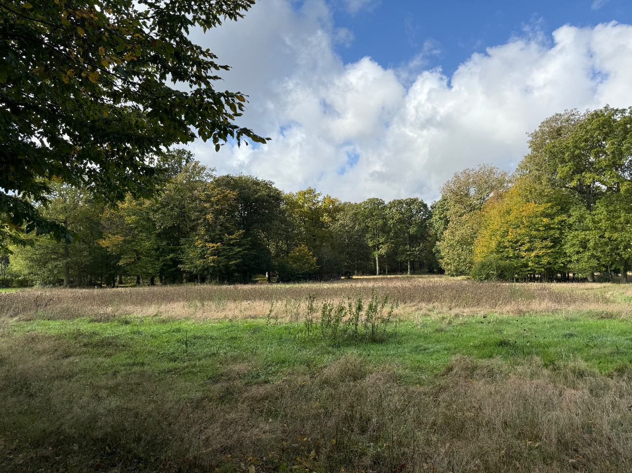 Photos 11 - Forestière - Propriété forestière et bâti de 20 ha aux portes de Paris