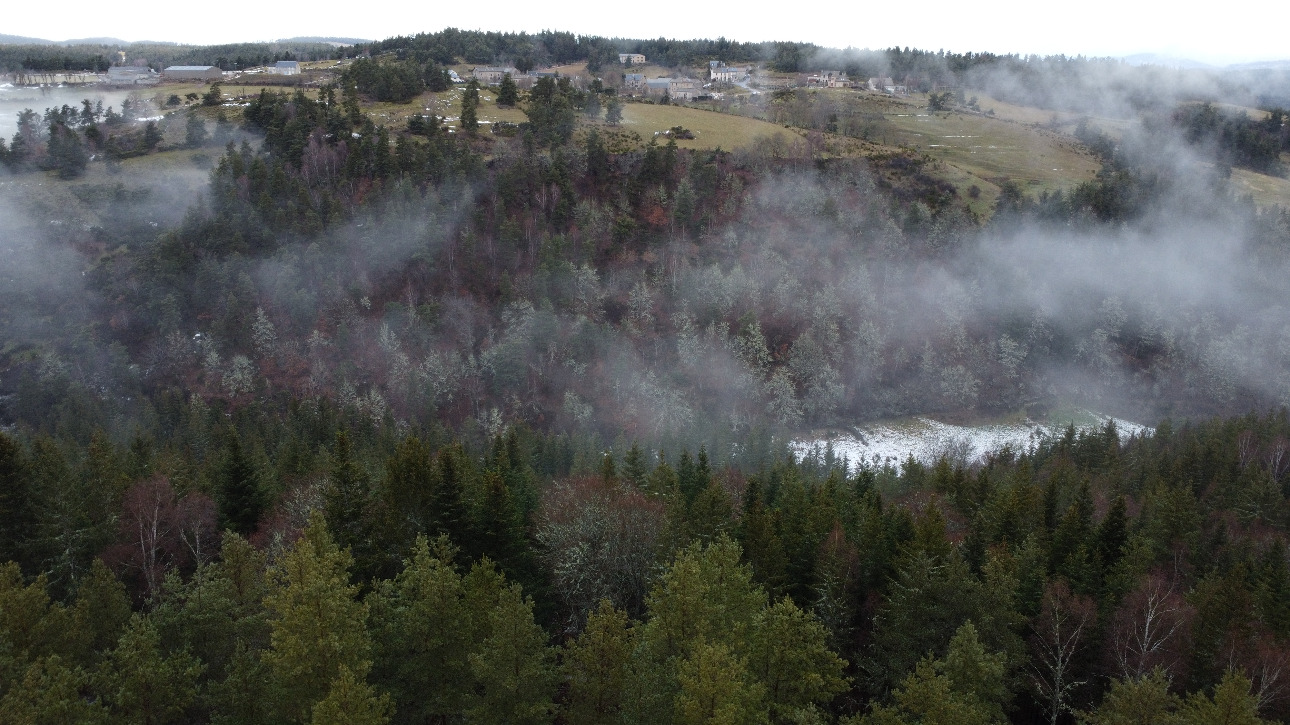 Photos 4 - Forestière - Investissement forestier – Aubrac (48)