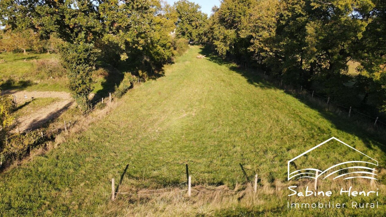 Photos 6 - Prestige - Maison de campagne sur plus de 3 ha