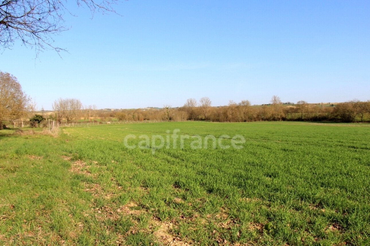 Photos 26 - Prestige - Propriété agricole avec maison de 205 m2, grange de 415 m2 et ancien séchoir à tabac de 270 m2 à vendre à FLEURANCE (32), sur terrain de 15 800 m2