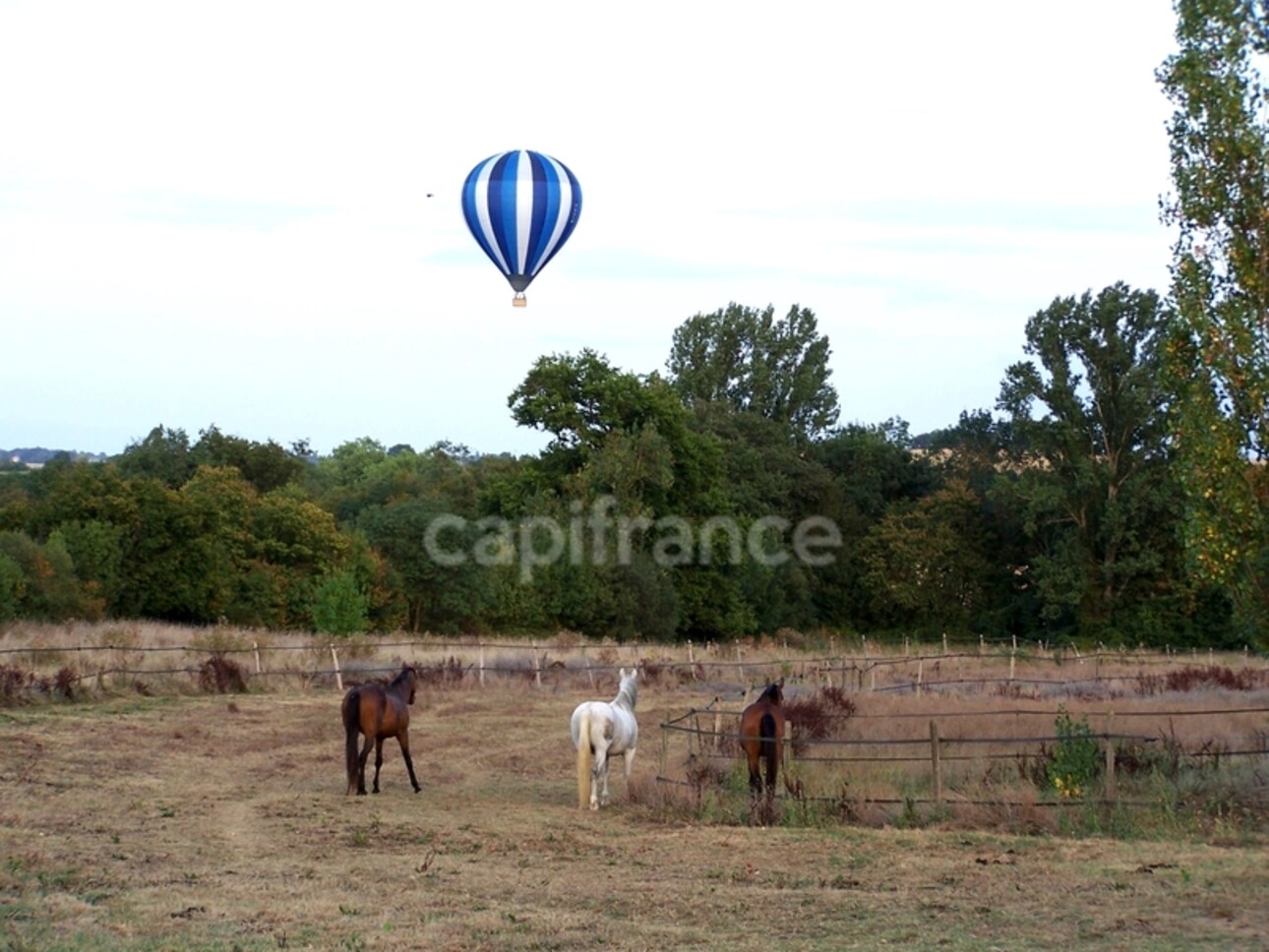 Photos 31 - Prestige - Propriété agricole avec maison de 205 m2, grange de 415 m2 et ancien séchoir à tabac de 270 m2 à vendre à FLEURANCE (32), sur terrain de 15 800 m2