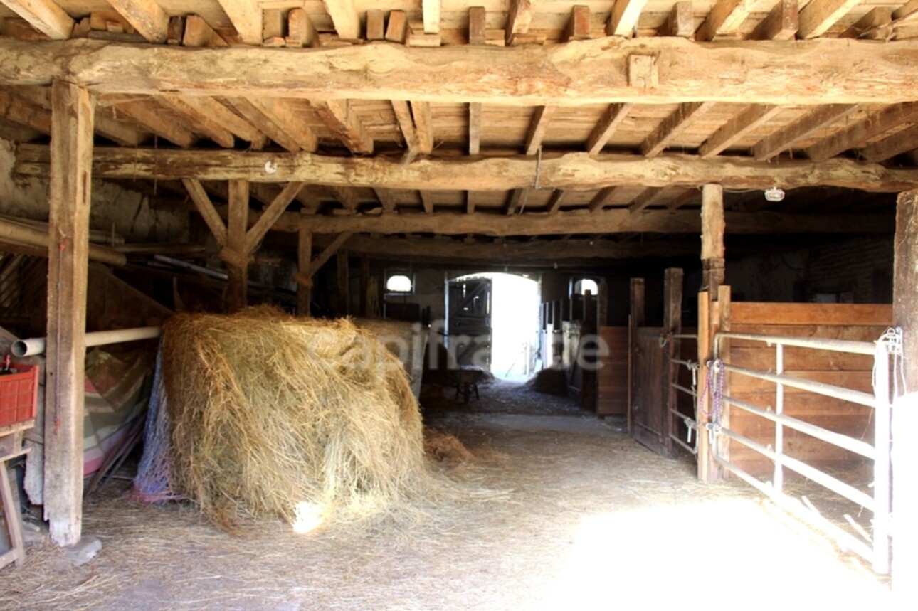 Photos 33 - Prestige - Propriété agricole avec maison de 205 m2, grange de 415 m2 et ancien séchoir à tabac de 270 m2 à vendre à FLEURANCE (32), sur terrain de 15 800 m2