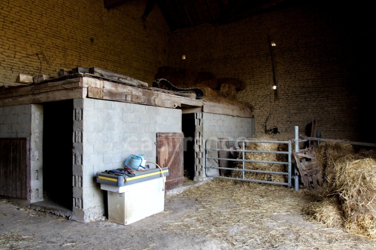 Photos 35 - Prestige - Propriété agricole avec maison de 205 m2, grange de 415 m2 et ancien séchoir à tabac de 270 m2 à vendre à FLEURANCE (32), sur terrain de 15 800 m2