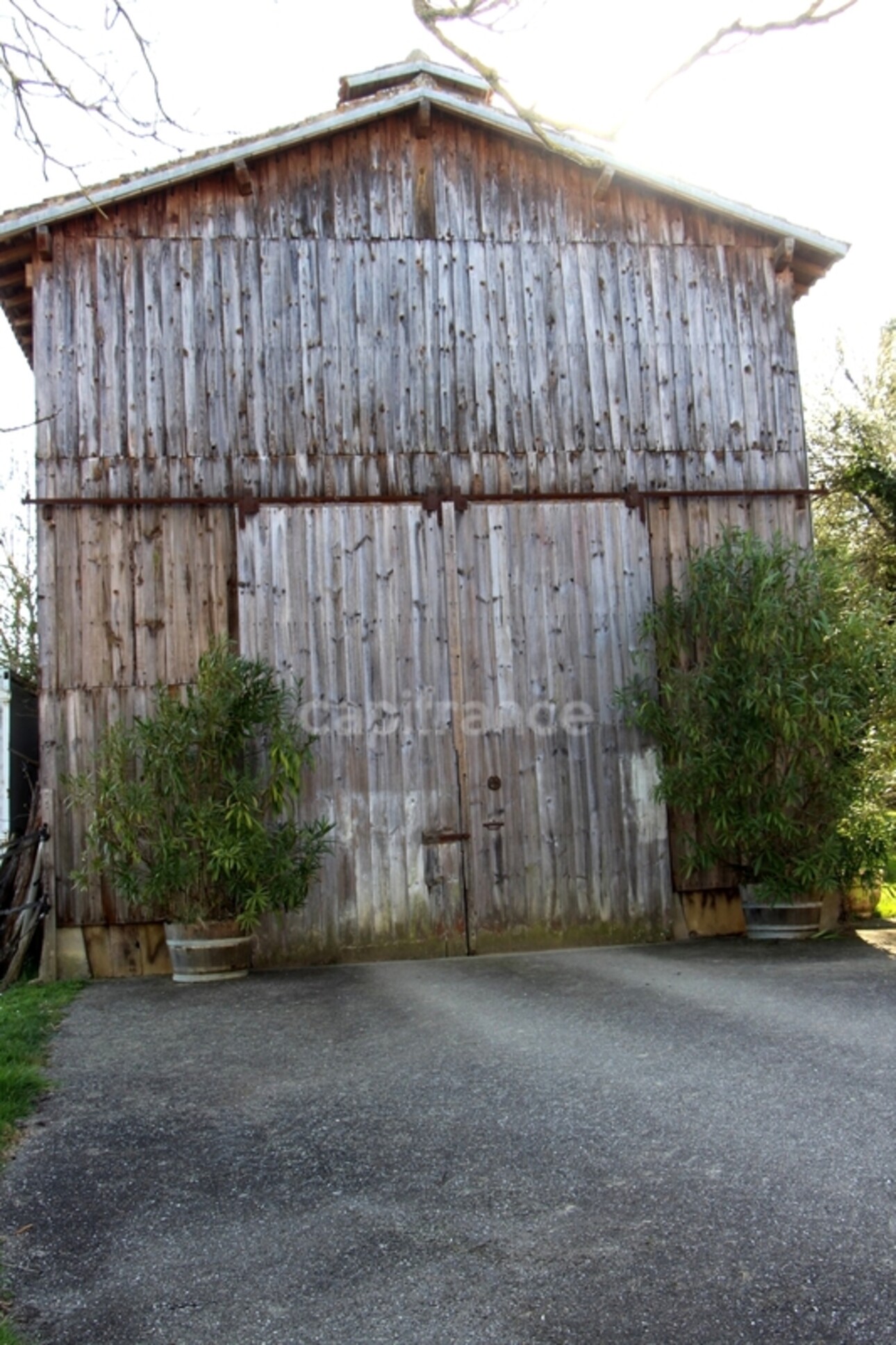 Photos 36 - Prestige - Propriété agricole avec maison de 205 m2, grange de 415 m2 et ancien séchoir à tabac de 270 m2 à vendre à FLEURANCE (32), sur terrain de 15 800 m2