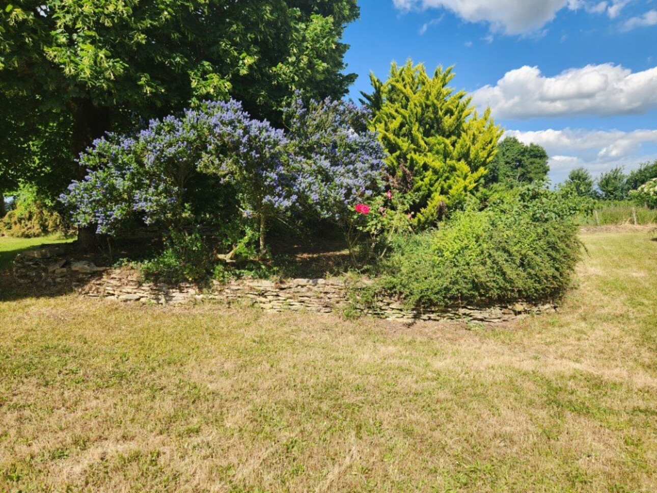 Photos 2 - Équestre - Maison