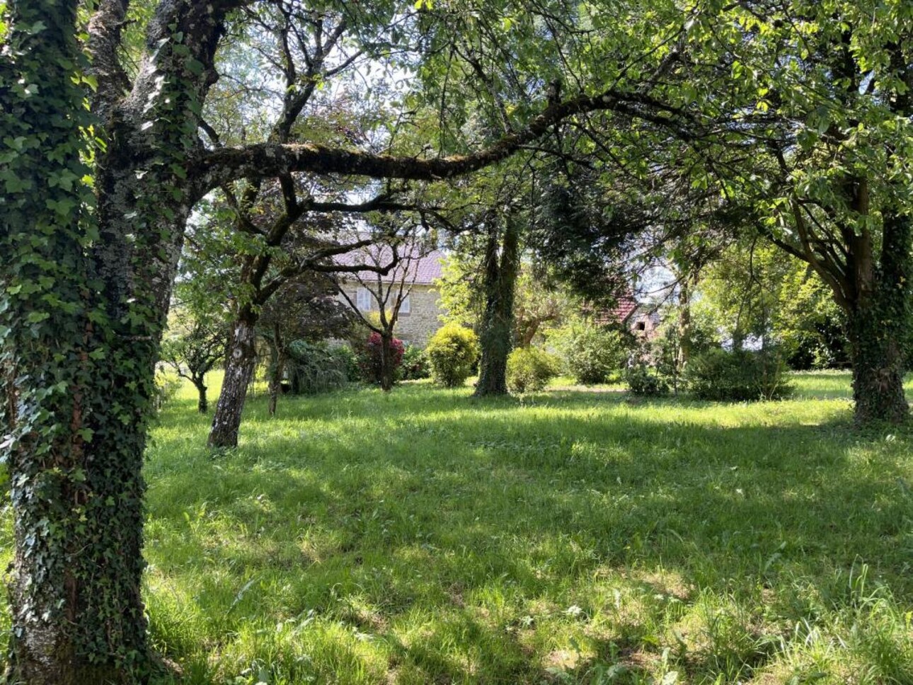 Photos 1 - Prestige - Propriété