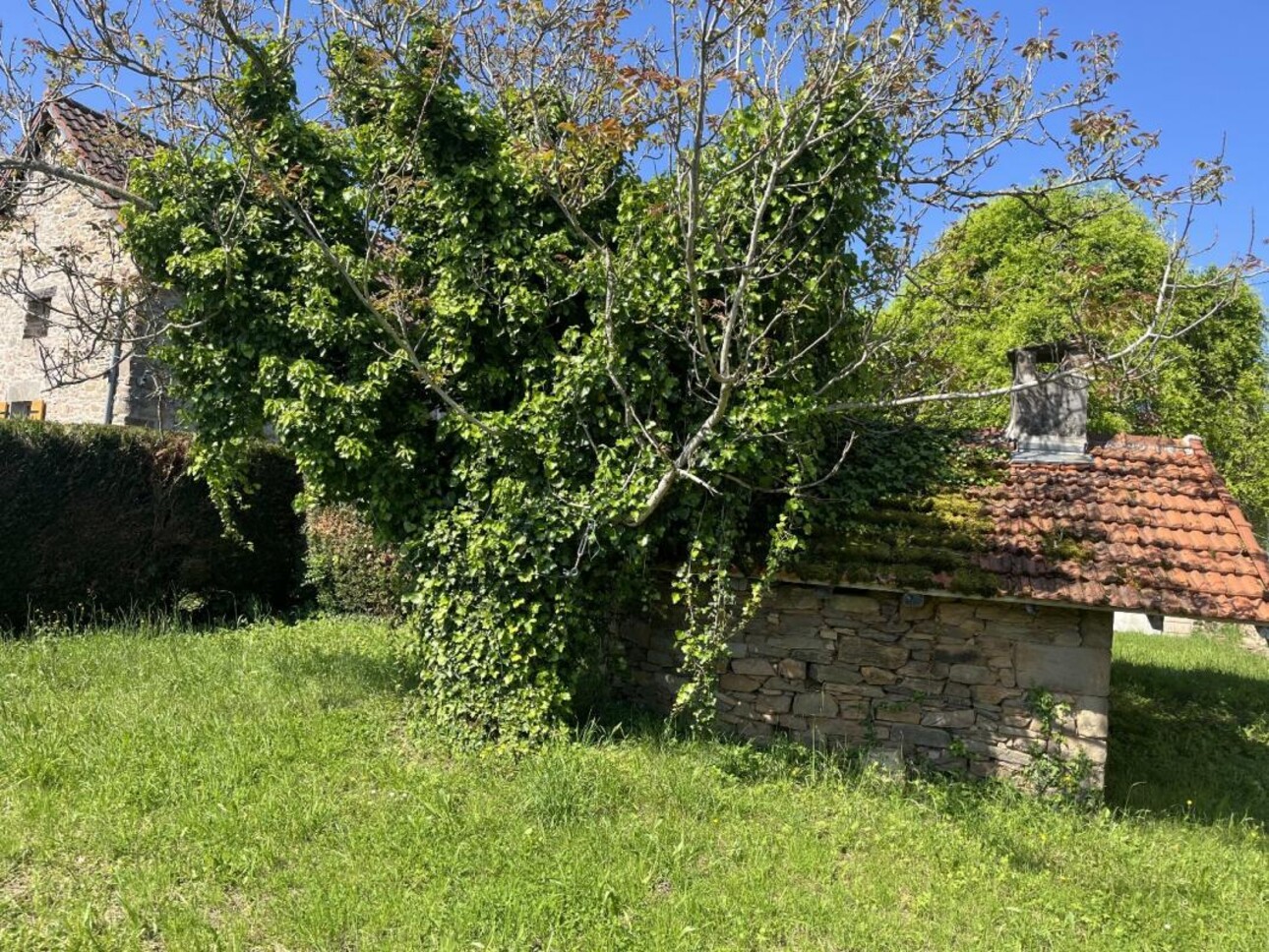 Photos 13 - Prestige - Propriété