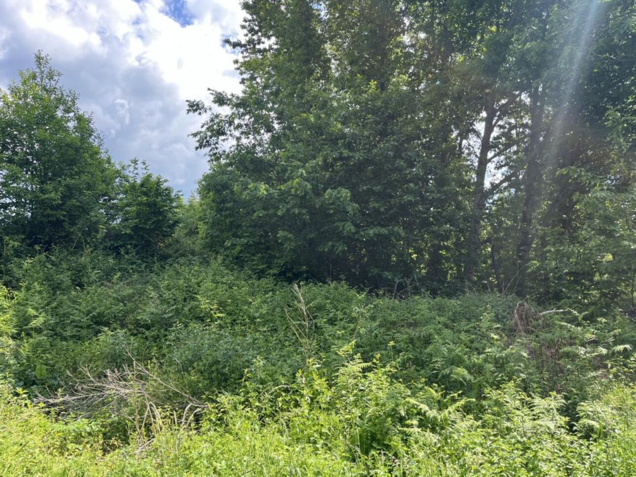 Photos 19 - Prestige - Propriété