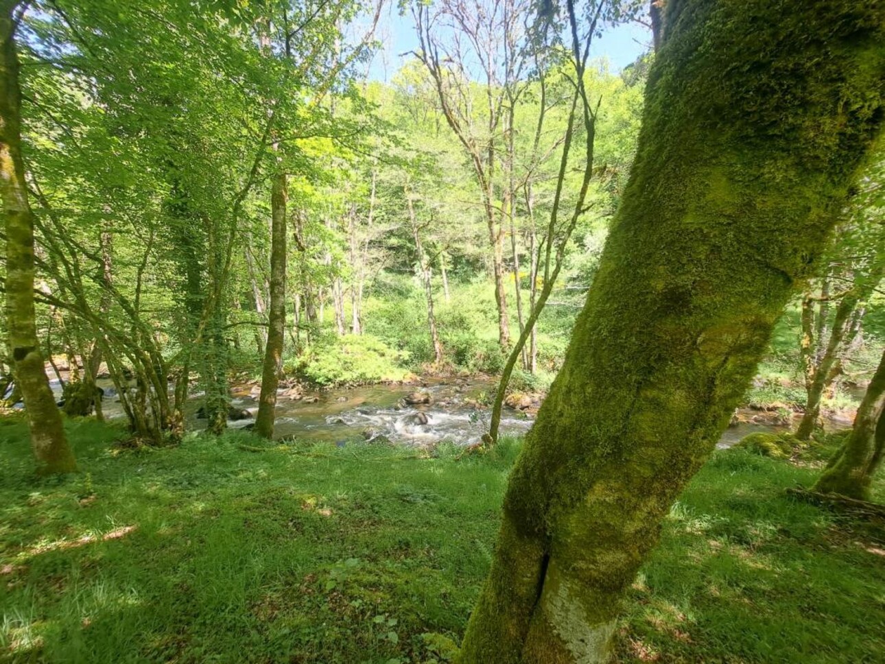 Photos 5 - Prestige - Moulin