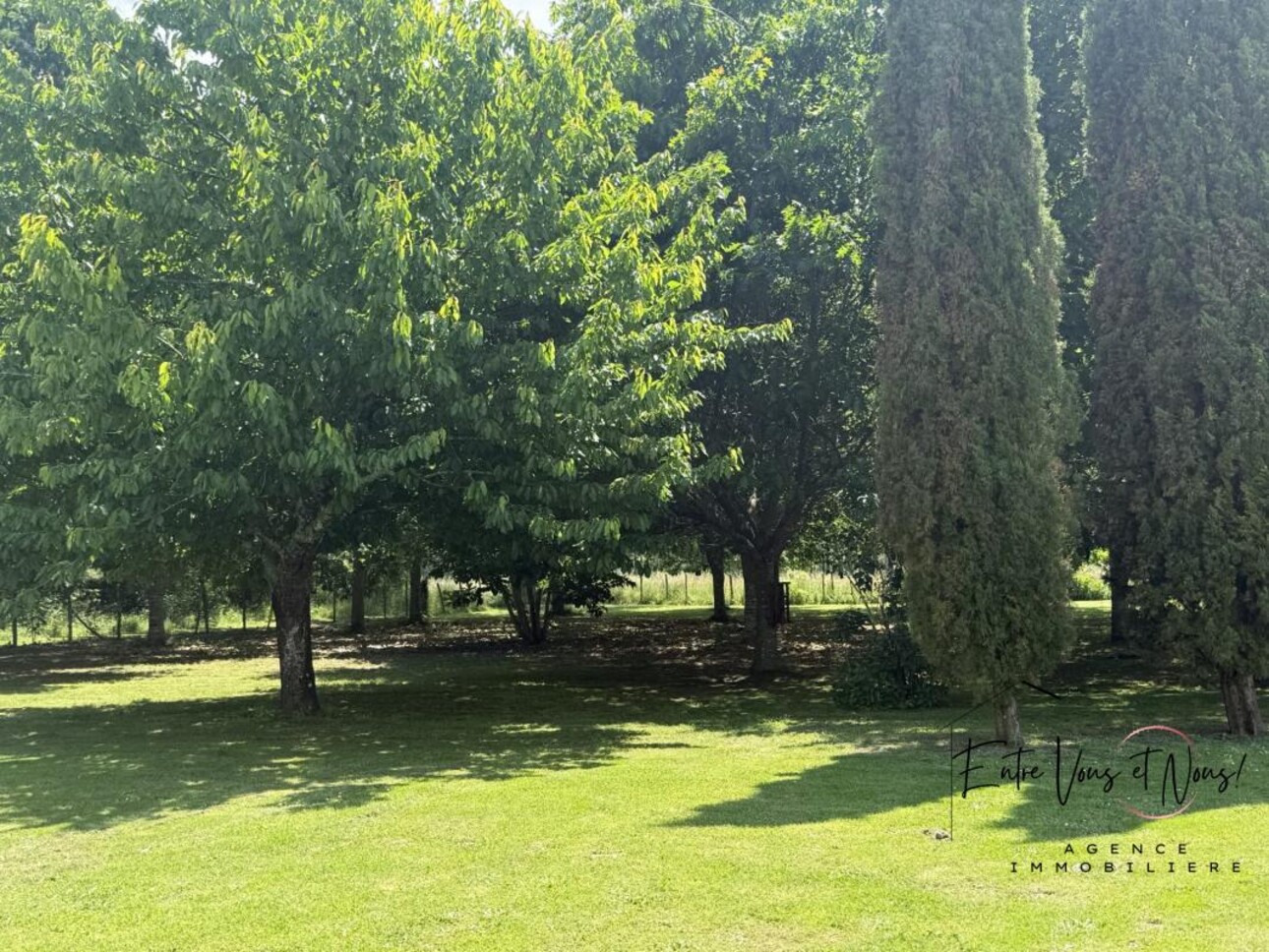 Photos 24 - Prestige - MAISON EN PIERRE RENOVEE SUR PLUS DE 5000M2 DE TERRAIN