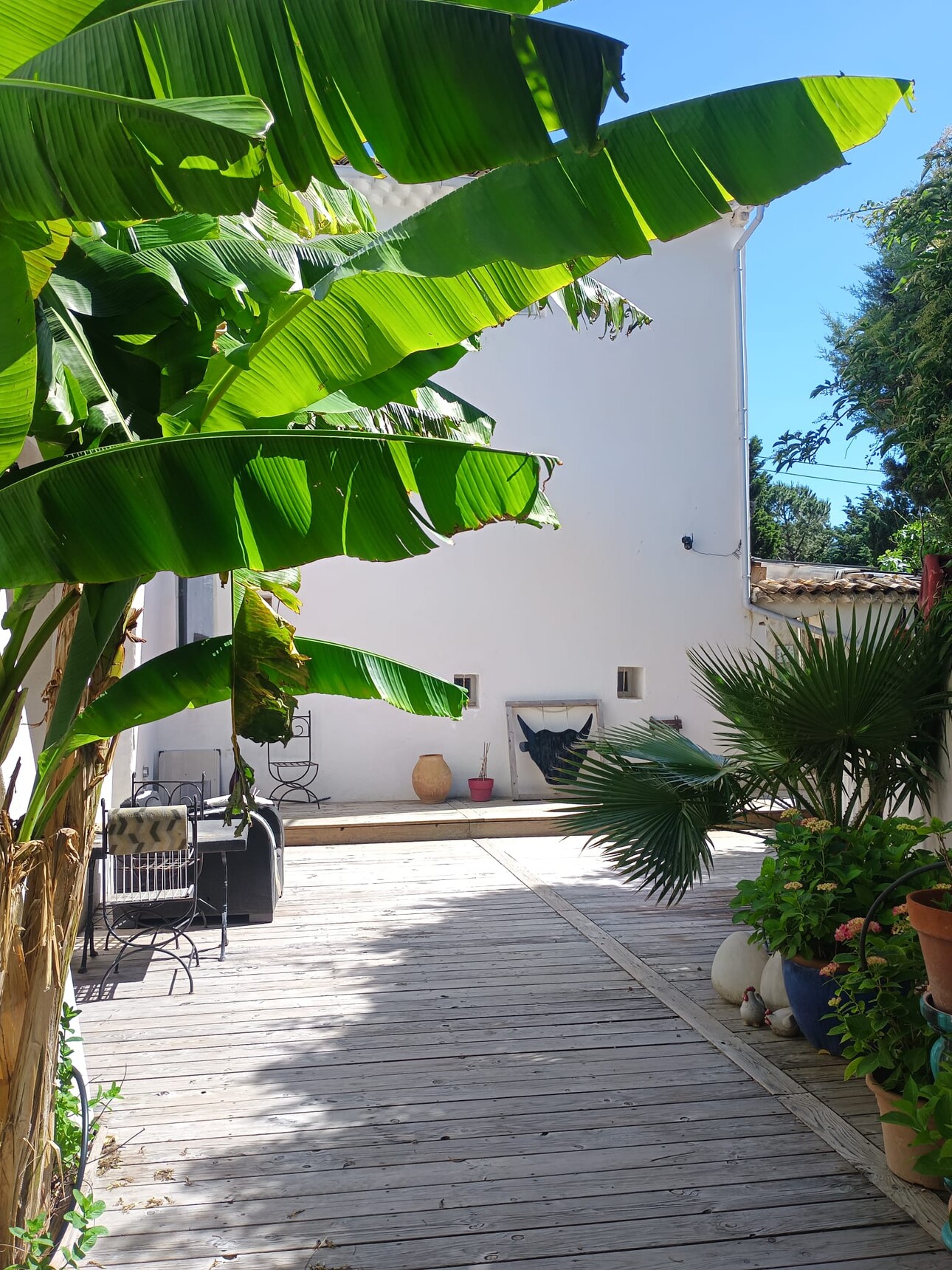 Photos 6 - Touristique - Mas et gite en Provence