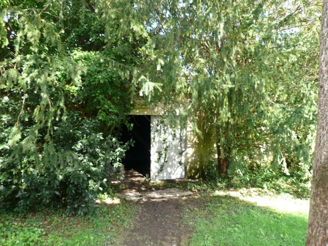 Photos 8 - Touristique -  BURIE (17) A Vendre CORPS de FERME et Ses Nombreuses Dépendances 