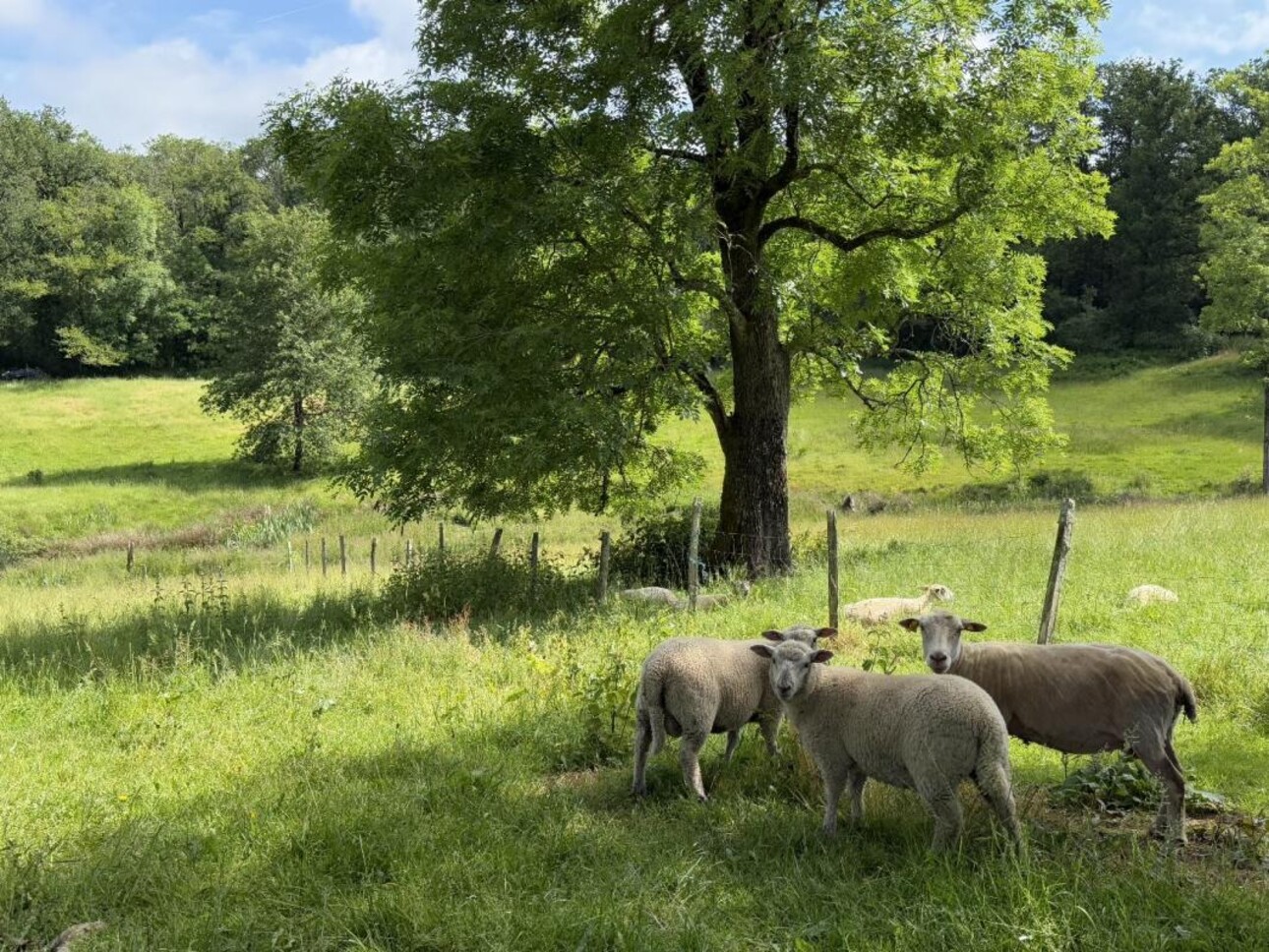 Photos 5 - Touristique - Propriété
