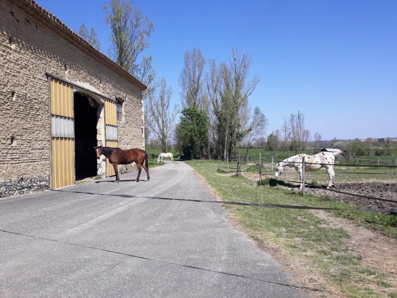 Photos 5 - Touristique - Maison