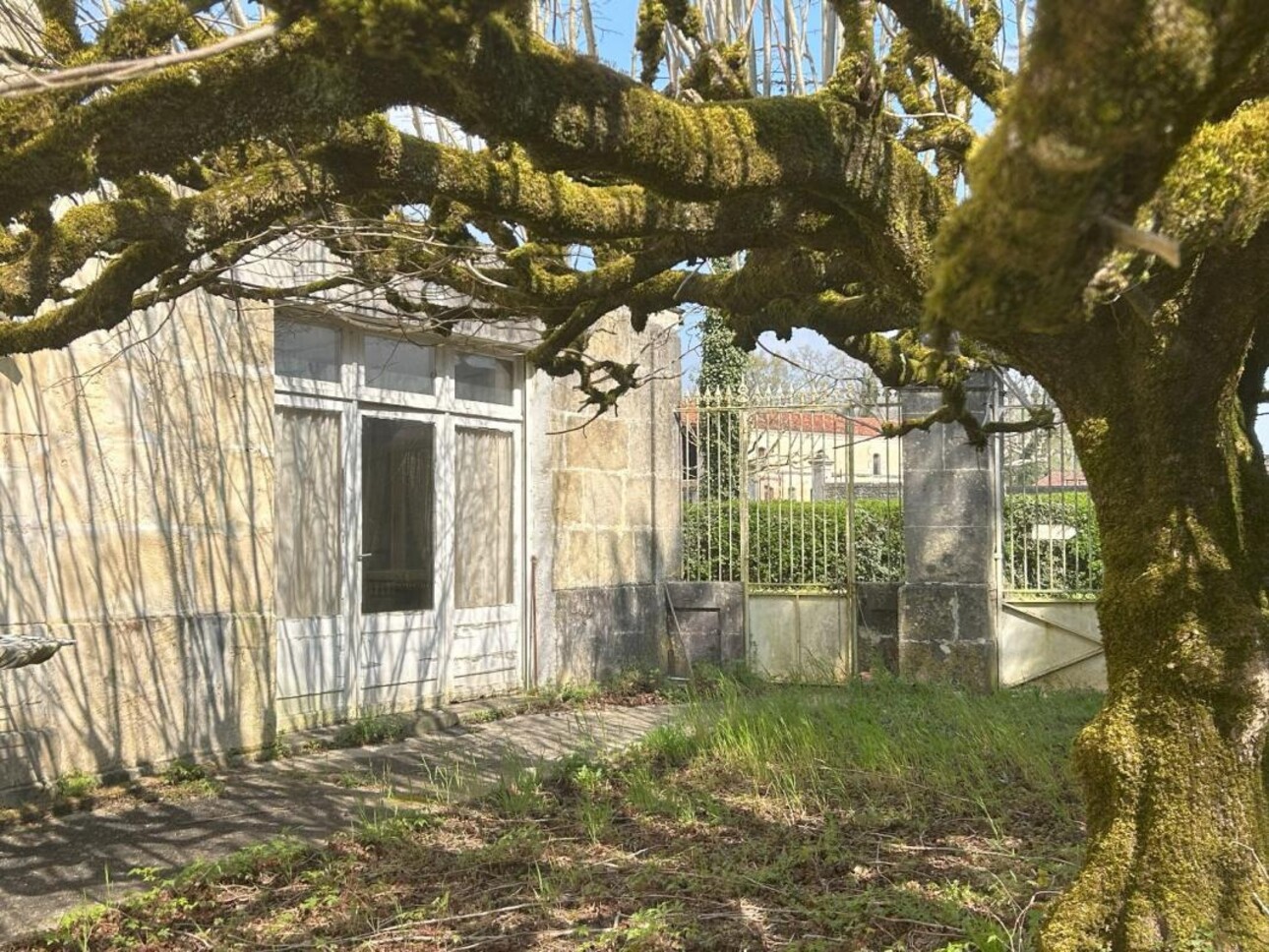 Photos 11 - Prestige - Maison