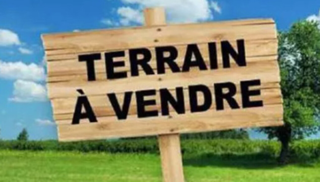 Photos 1 - Foncière - Morangis, parcelle agricole