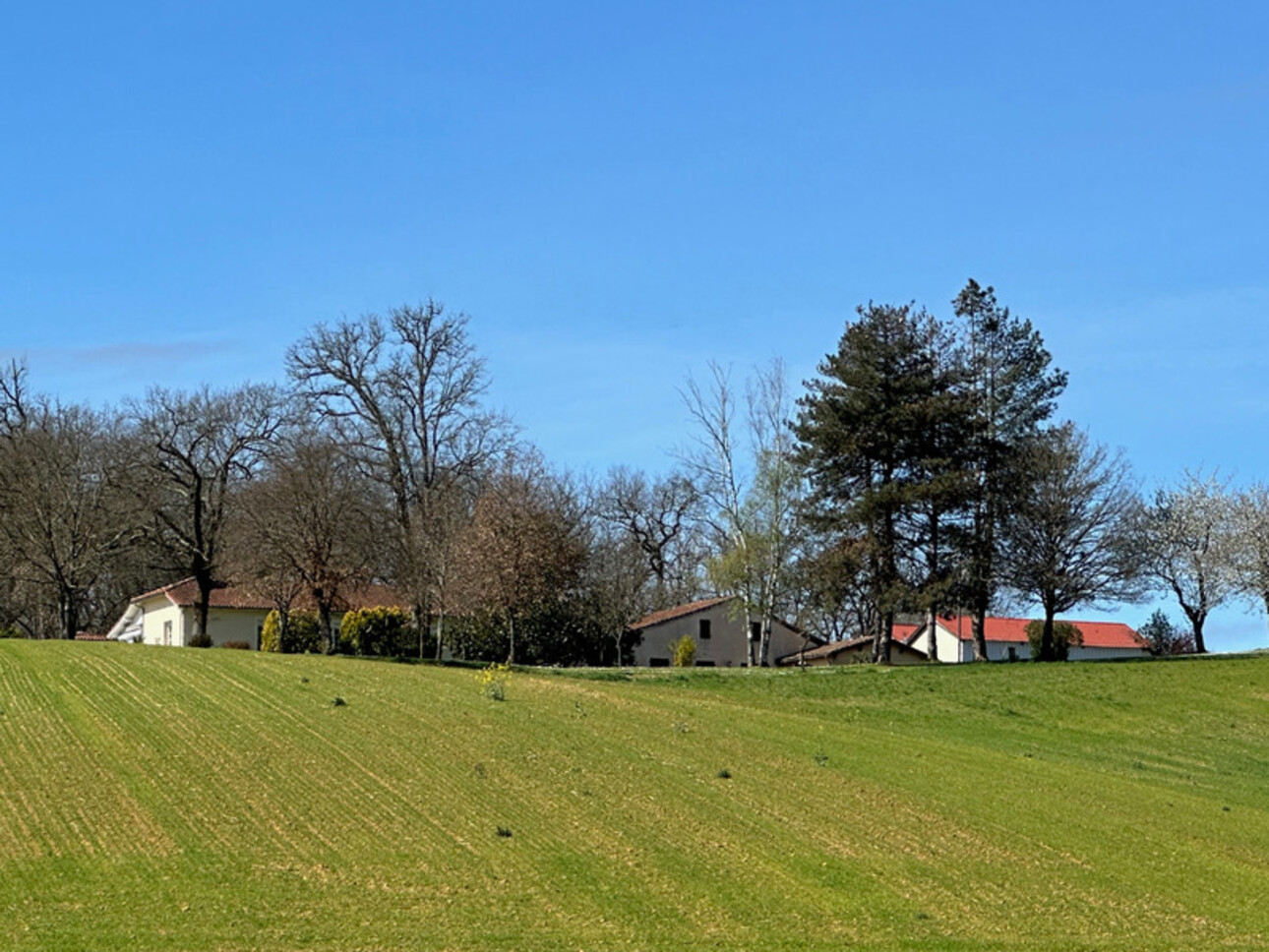 Photos 5 - Prestige - Dpt Gers (32), à vendre proche de VIC-FEZENSAC - propriété de 19,7 Ha - 2 maisons 164 m2 et 222 m2 - Plain pied
