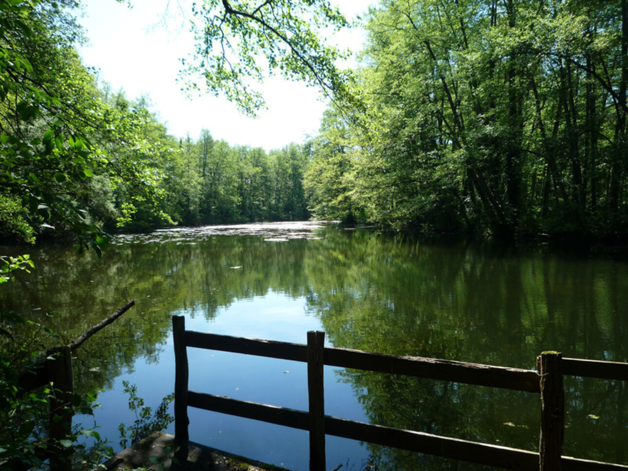 Photos 12 - Prestige - Dpt Aisne (02),  BAULNE EN BRIE à vendre superbe propriété de 380 m2 habitables sur un terrain de 15 ha avec étang de 3 ha