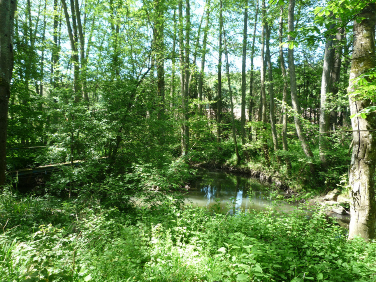 Photos 20 - Prestige - Dpt Aisne (02),  BAULNE EN BRIE à vendre superbe propriété de 380 m2 habitables sur un terrain de 15 ha avec étang de 3 ha