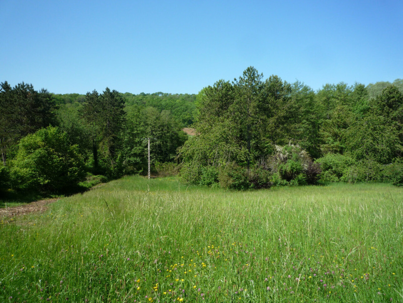 Photos 22 - Prestige - Dpt Aisne (02),  BAULNE EN BRIE à vendre superbe propriété de 380 m2 habitables sur un terrain de 15 ha avec étang de 3 ha