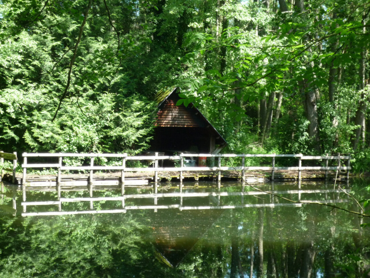 Photos 23 - Prestige - Dpt Aisne (02),  BAULNE EN BRIE à vendre superbe propriété de 380 m2 habitables sur un terrain de 15 ha avec étang de 3 ha