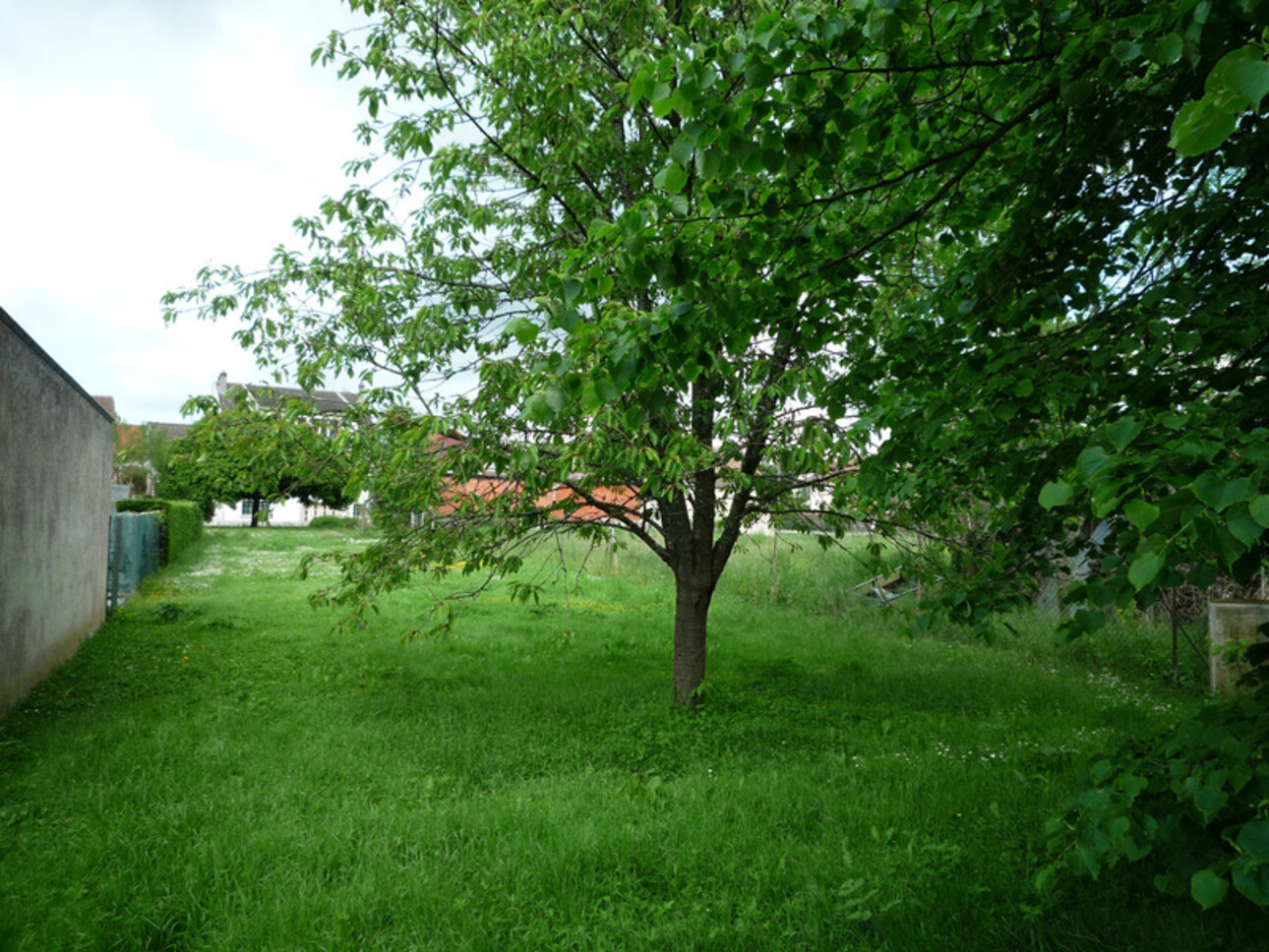 Photos 34 - Prestige - Dpt Aisne (02),  BAULNE EN BRIE à vendre superbe propriété de 380 m2 habitables sur un terrain de 15 ha avec étang de 3 ha