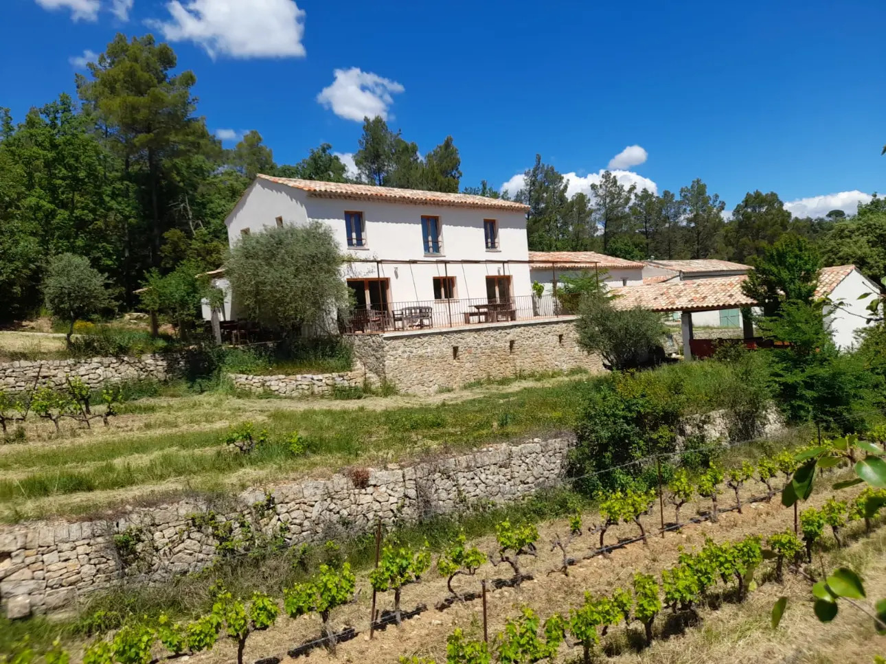 Photos 10 - Viticole - Domaine viticole dans le Var