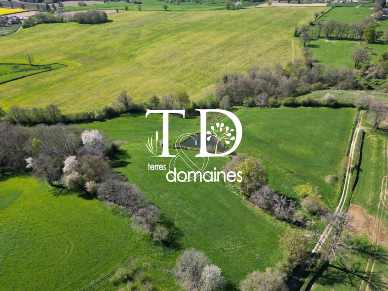 Photos 2 - Équestre - Superbe propriété rurale sur 06 hectares 9469 avec une maison